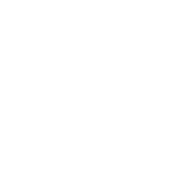 Articles Icon