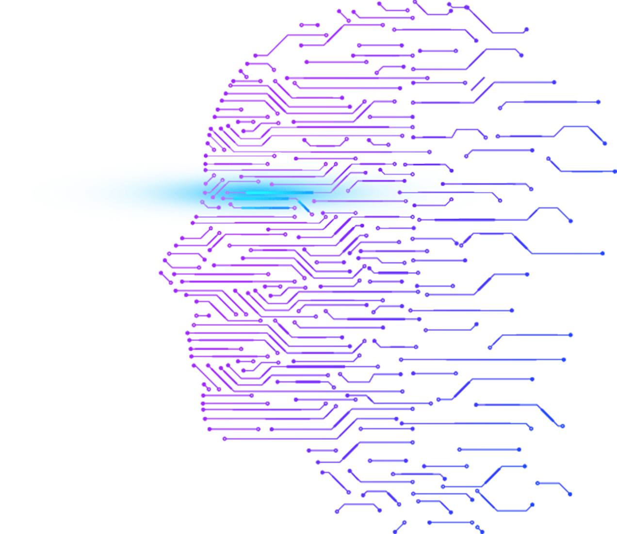 AI Data Cleansing and Visualization - KDAPT